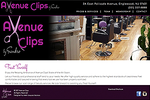 KIARO Computer Solutions Web Development client web site Avenue Clips